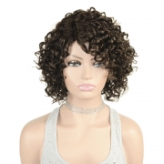 African real human hair 9inch 23cm curly wig real hair black lady headgear