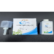 Cson Antibacterial Solution (Intimate Douche Type)