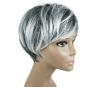 Nouvelle perruque femmes euro - américaine mode court cheveux droits Noir blanc teint mélange de couleurs fibre chimique coiffure courte，Meches,  perruque, greffes